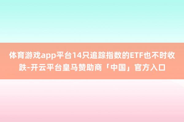 体育游戏app平台14只追踪指数的ETF也不时收跌-开云平台皇马赞助商「中国」官方入口
