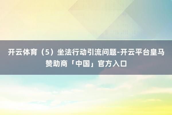 开云体育（5）坐法行动引流问题-开云平台皇马赞助商「中国」官方入口