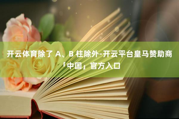 开云体育除了 A、B 柱除外-开云平台皇马赞助商「中国」官方入口